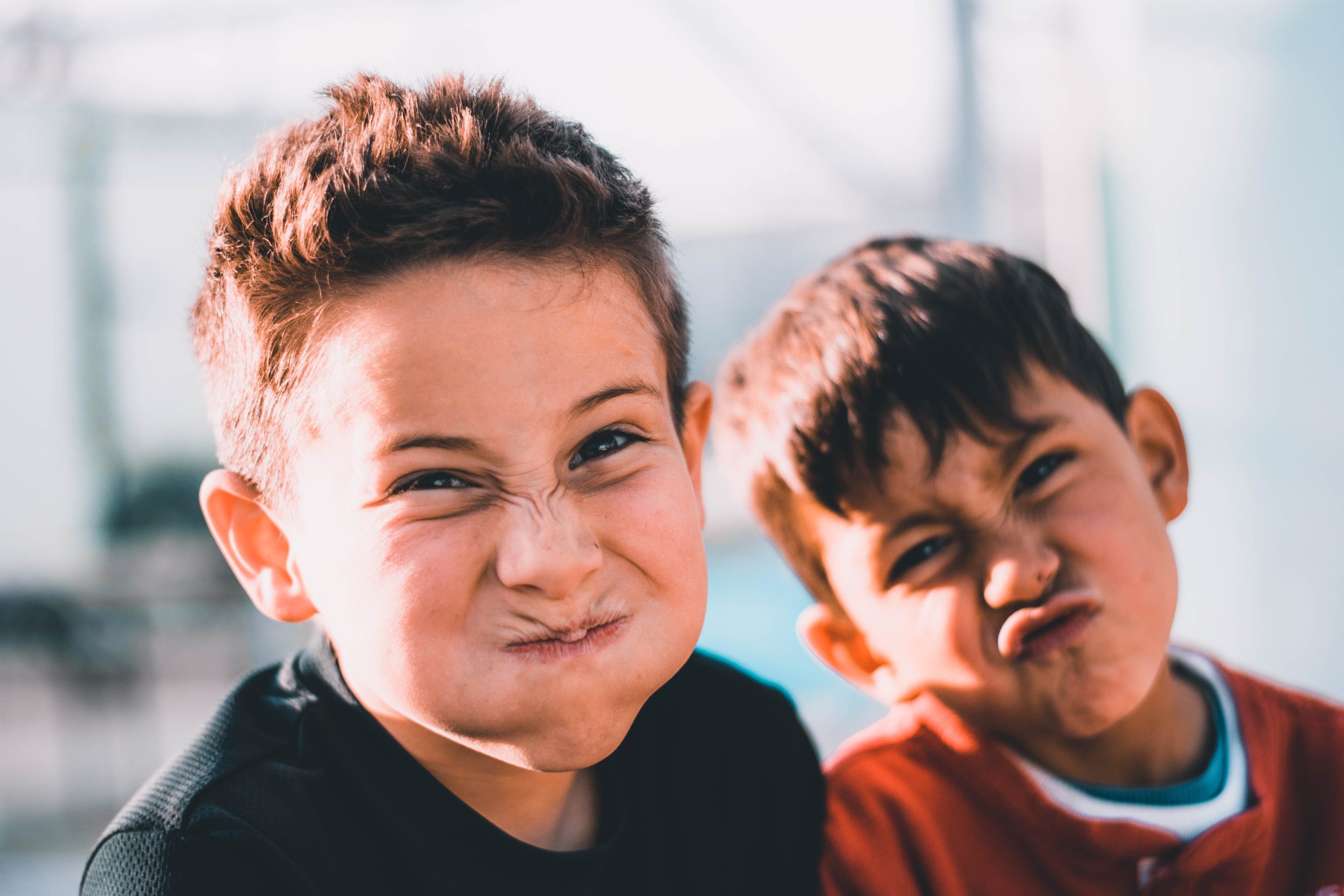 MyLife Explorer Groups